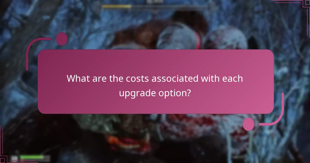What are the costs associated with each upgrade option?